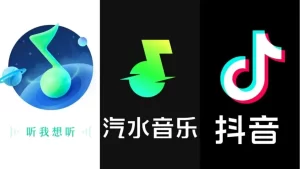 qishuiyinyue-32